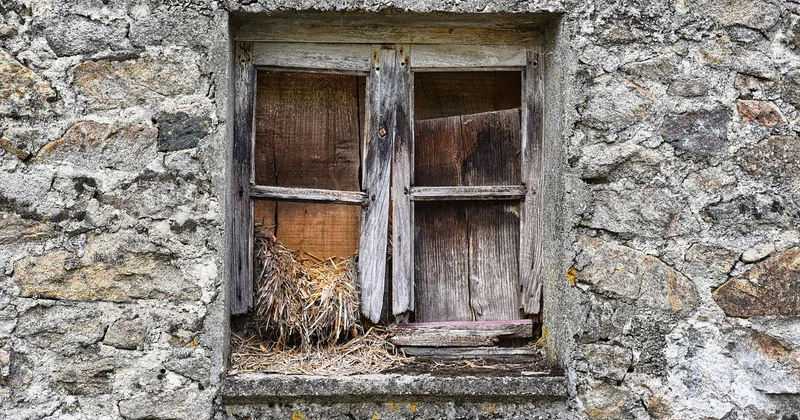 Le bois, l'allié esthétique et structurel de la pierre